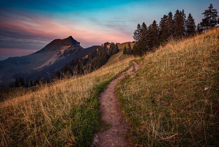 The Path