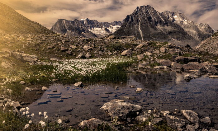 Aletsch