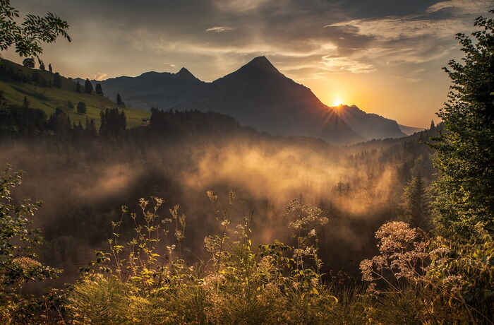 Sonnenuntergang im Nebel